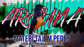 Download lagu SUPER GACOR !! MURAI BLOROK materi jos cocok buat masteran dan pancingan murai | shama bird song mp3 Download lagu SUPER GACOR !! MURAI BLOROK materi jos cocok buat masteran dan pancingan murai | shama bird song mp3