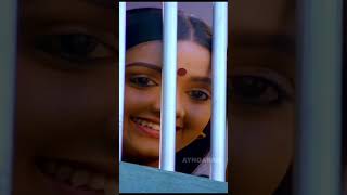 Download lagu செண்பகமே செண்பகமே | Shenbagame Shenbagame | Enga Ooru Pattukaran | Ramarajan | Ilaiyaraaja | Mano mp3 Download lagu செண்பகமே செண்பகமே | Shenbagame Shenbagame | Enga Ooru Pattukaran | Ramarajan | Ilaiyaraaja | Mano mp3
