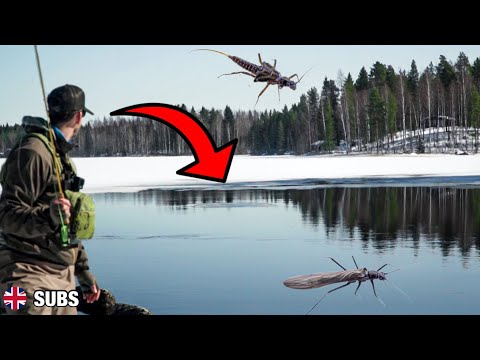 OIKEASSA PAIKASSA, OIKEAAN AIKAAN | Elämäni ensimmäinen sumarireissu