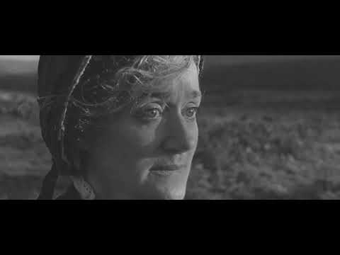 Lasio Companija ft. Pih, Agnieszka Samołyk - Obawy ( prod. DNA / Mlody Baza Mush-up )