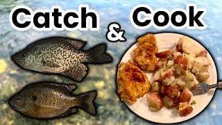 Panfishing At a Small Lake! (Catch and Cook)