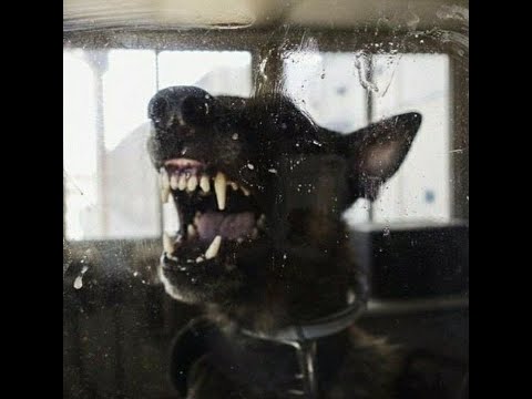 [SOLD] ZILLAKAMI TYPE BEAT - Stag | Hard Dark Trap Metal Type Beats 2025