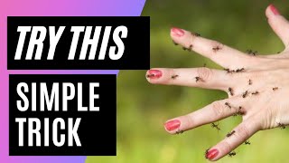 His to get rid of Ants | How to kill ants in car | Sanitizer Tips and Tricks.