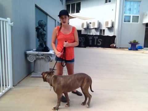 Nahla - Bootcamp: Final Review Part 1