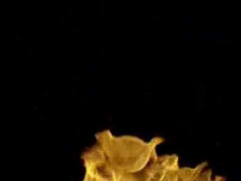 Time For Time video