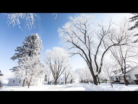 Jaw-Dropping Winter Wonder Land - Hoar Frost - Waconia, Minnesota