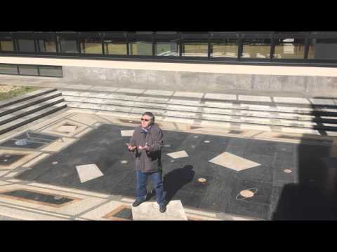 Roberto Ricco - Antichi organi del Canavese