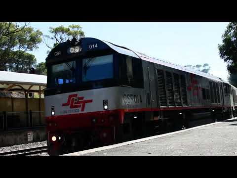 Freight Train (2MP9)