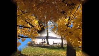 Everybody&#39;s Cryin Mercy (lyrics)