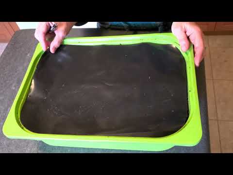 Worm cocoon bin, baby worm baiting.