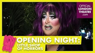 Strange and Interesting Questions for the cast of Little Shop of Horrors