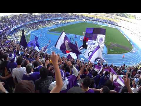 "León Hay Uno Solo" Barra: Los Lilas &bull; Club: Club Deportes Concepción &bull; País: Chile