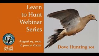 Dove Hunting 101 - Learn to Hunt Webinar Series
