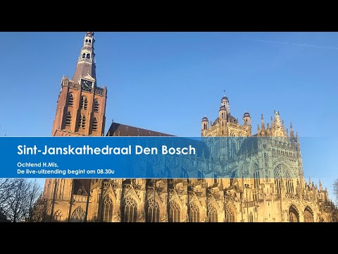 Sint-Janskathedraal Den Bosch, 5 februari 2026,  H.Mis  aanvang 08.30u