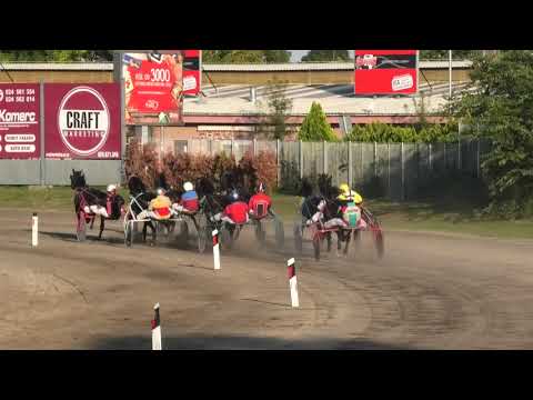 Trka "Yum Commerce" 16 09 2018 Ivan Turgenev A.T.-Dejan Petrović