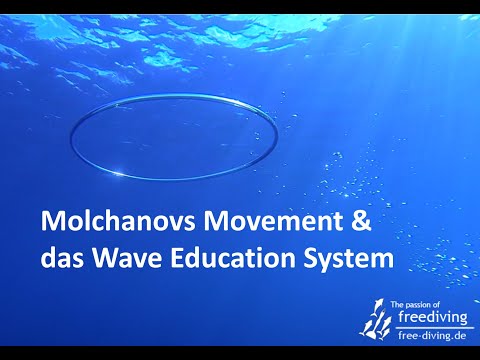 Molchanovs Movement & das Wave Education System (Freediving TV #14)