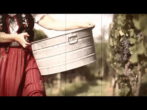 Frustration: Creating Complex Configurations - PTC