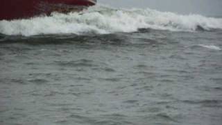 Dolphins Playing In The Wake Of A Ship.AVI