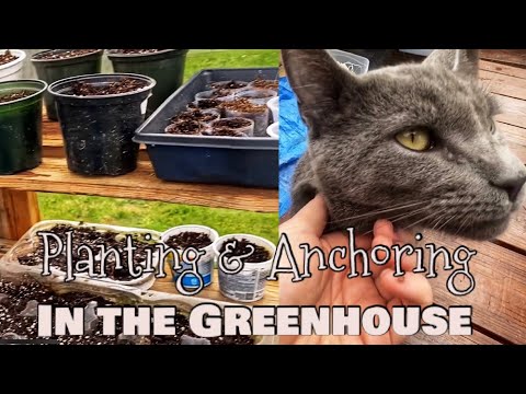 Greenhouse Chronicles Episode 3 - Planting & Anchoring