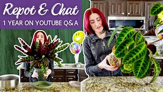 Repot and Chat 1 Year Anniversary Q&A! Fave Plant YouTubers, Top 5 Plants, Year 2 Goals, and More!