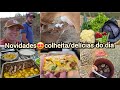 ROTINA DA MANHÃ EU E RONY NOVOS FILHOTES TORTA DE CALABRESA COSTELINHA ASSADA COUVE FLOR EMPANADA
