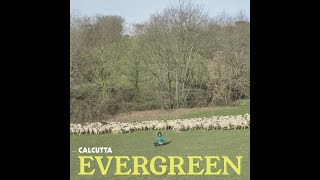 Testo "Del Verde" - Calcutta (2016)