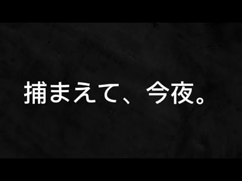 捕まえて、今夜。1時間耐久
