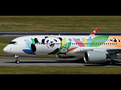 A320, A330, A350, A380 : Best Of special aircraft and livery for the 1k Subscribe - AIRBUS