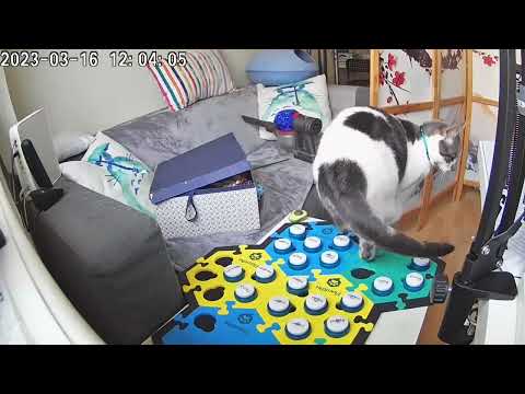 Sabriel is not impressed by Hoomom's lack of responsiveness