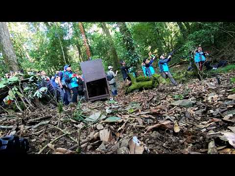 森林護管員以汽笛喇叭及野生動物驅離槍，對Ziman進行負面制約，希望牠能遠離人群返回山林
