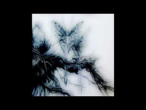 deadrazy - 1stir / 4at (ｘ１１１୫ ) 333 / Zzz (2020)