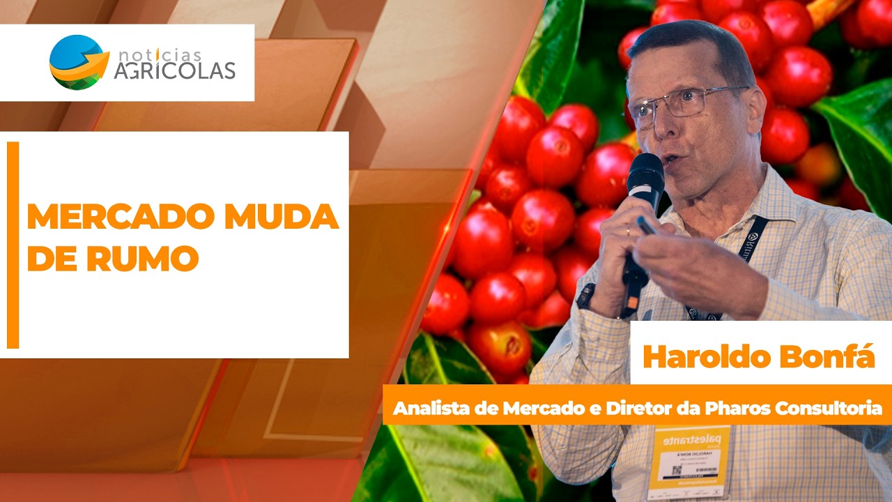 MERCADO DO CAFÉ - EDIÇÃO 07-07-2026
