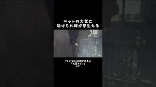ペットの大鷲に助けられ絆が芽生える【人喰いの大鷲トリコ】