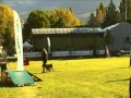 Grand Prix Merano 2014 Barney 178 Points 4 Place