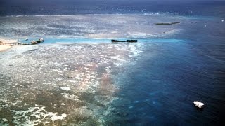 “Nearly Half Of The Great Barrier Reef To Die In The Next Month”, Abrupt Climate Shift Is Now