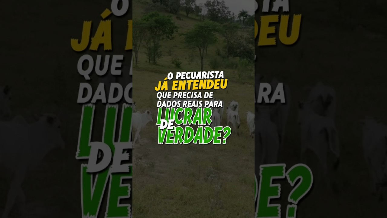 O PECUARISTA JÁ ENTENDEU QUE PRECISA DE DADOS REAIS PARA LUCRAR DE VERDADE?