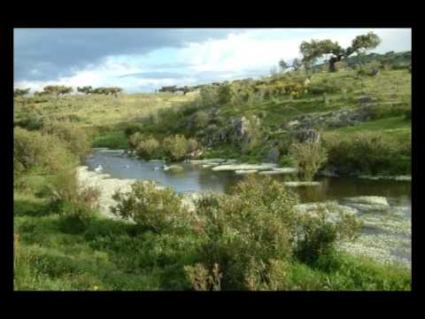 Valverde de Burguilllos