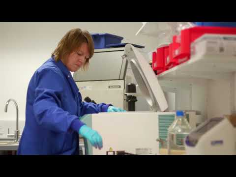 Phion Therapeutics | Invest NI Support Case Study