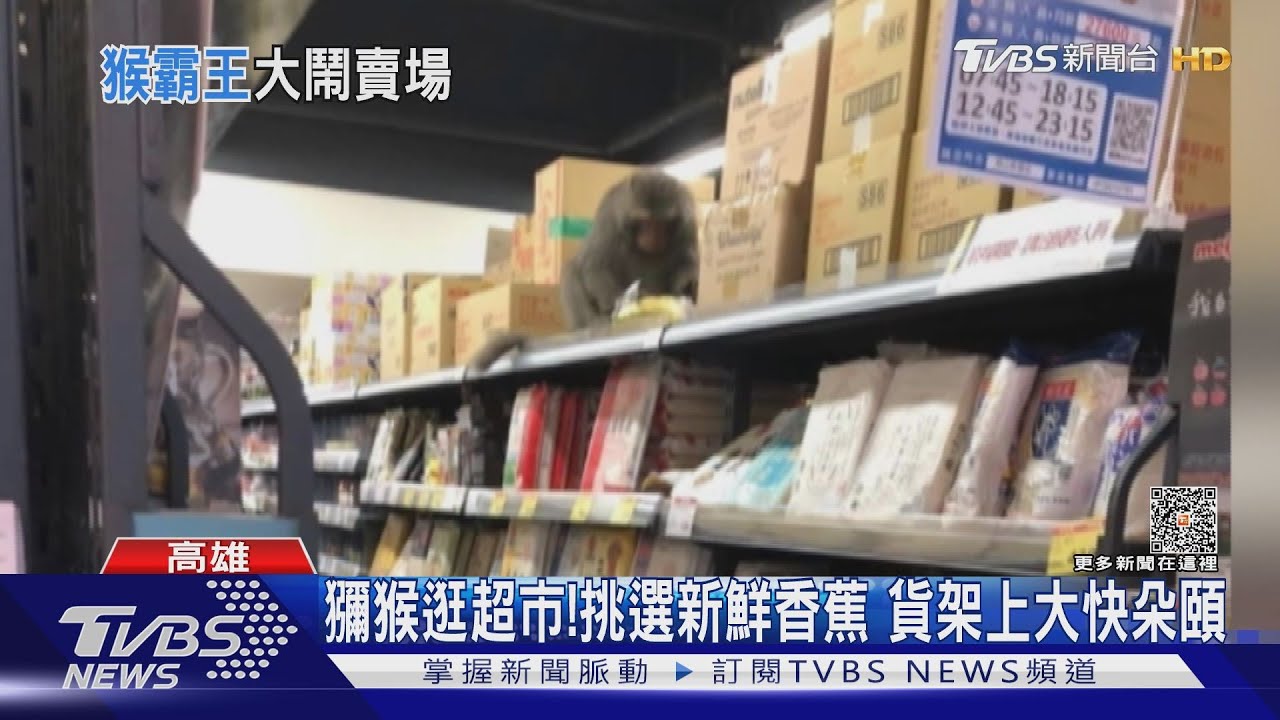 下次可能是你遇到「牠」!婦逛超市 獼猴從旁經過呷香蕉