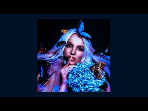 (AI) Britney Spears - Sometimes Like Butterflies (Donna Summer)