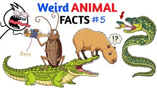 Weird Animal Facts You Never Knew - Part 5