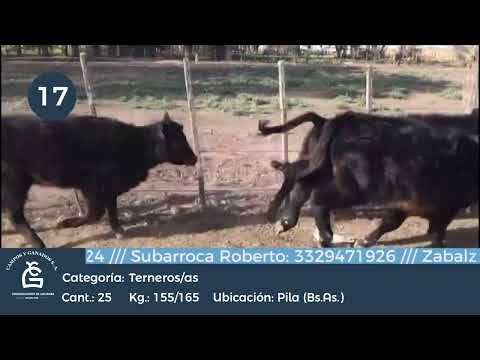 Lote M Y H -Pila BS As