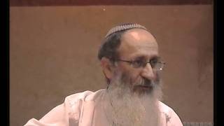 פרשת וישלח | הרב קוק על יציאת יעקב ובניו משכם ("חומש הראיה") – הרב אורי שרקי