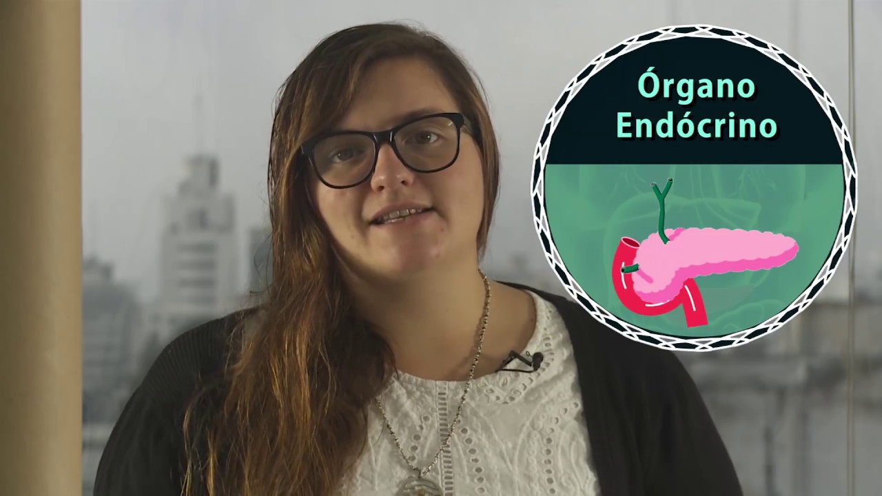 FISIOLOGÍA: Páncreas Endocrino. PARTE I