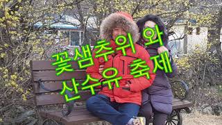 preview picture of video '꽃샘추위 와 산수유축제 경북 의성 산수유마을'