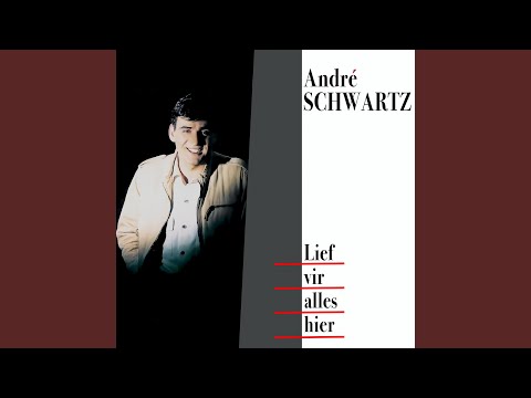Ek Hoor Jou In Die Wind - André Schwartz