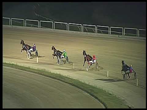 Trotto 27/06/2020 - 4ª prova di qualifica