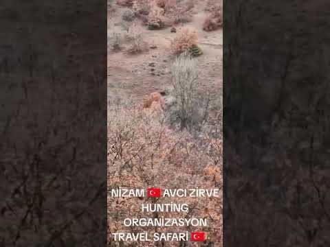 NİZAM AVCI ZİRVE HUNTİNG ORGANİZASYON