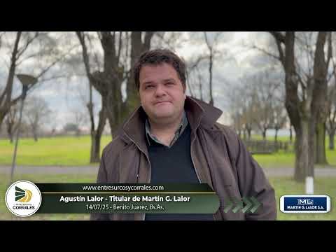 14-07-25 - Agustín Lalor - Consignatario - Benito Juarez, Bs.As.