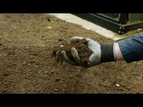 How to Sow a New Lawn I Yates NZ